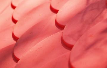 Coptiviney plastic roof costs