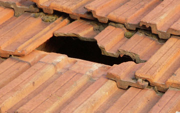 roof repair Coptiviney, Shropshire